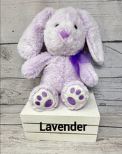 Load image into Gallery viewer, Plush Bunny Rabbit